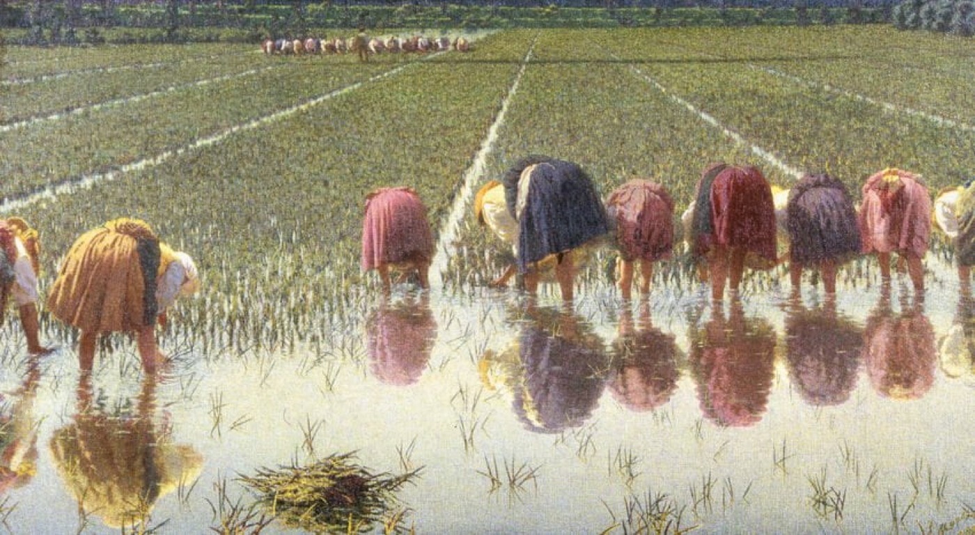 Mondine al lavoro nelle risaie, dipinto di Angelo Morbelli (1895-97)